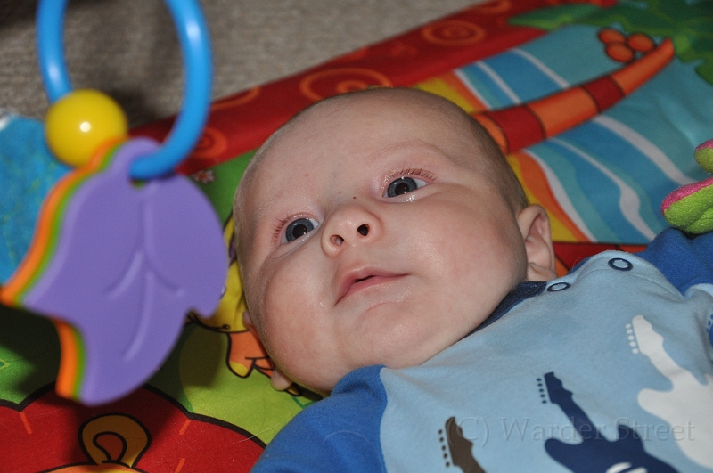 William's Tenth Week 20.jpg